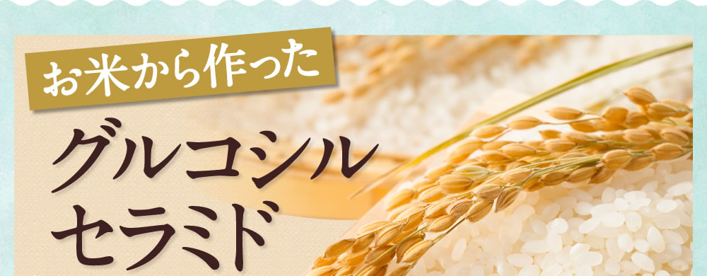 お米から作ったグルコシルセラミド